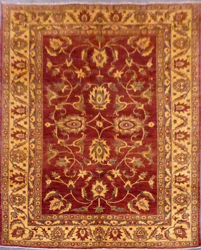 One Of The Kind Afghani Khotan Rug 8'4" x 10'4"